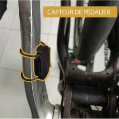 Roue Avant Avec Moteur Electrique Intégré Teebike 20" Reconditionnée -VTT Remise roue avant avec moteur electrique integre teebike 20 reconditionnee 2